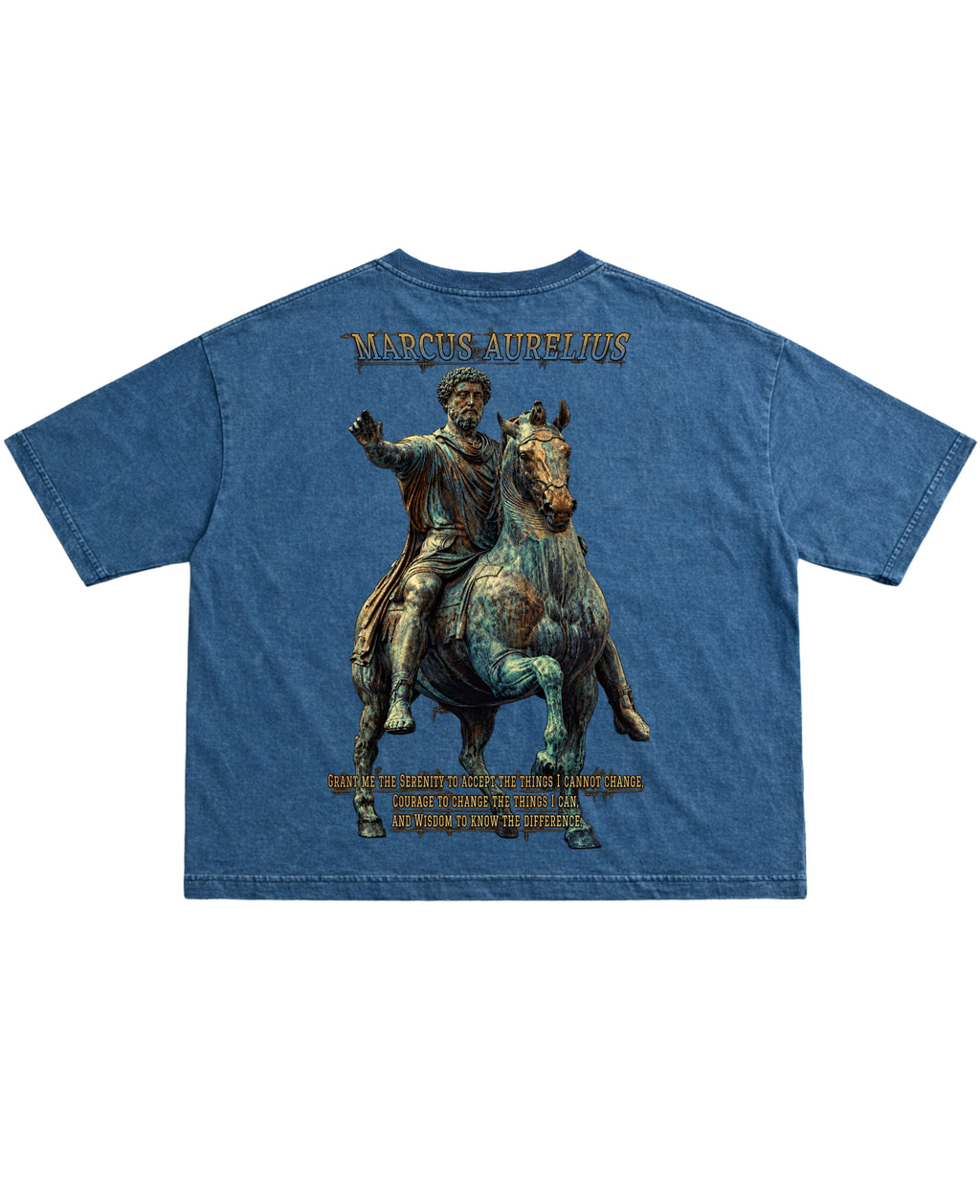 Denim Wash Boxy Fit T-shirt Back Design